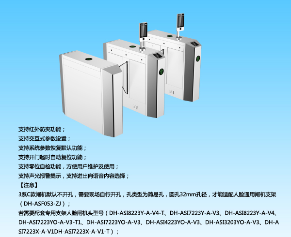 國內大華八角斜式翼閘DH-ASG3100C