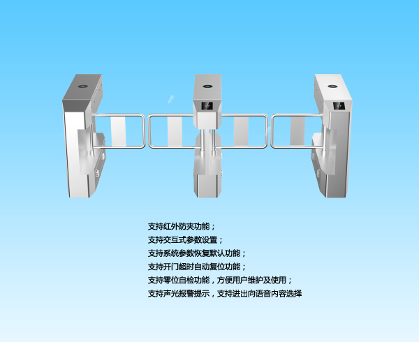 國內大華橋式斜角擺閘DH-ASG4200C